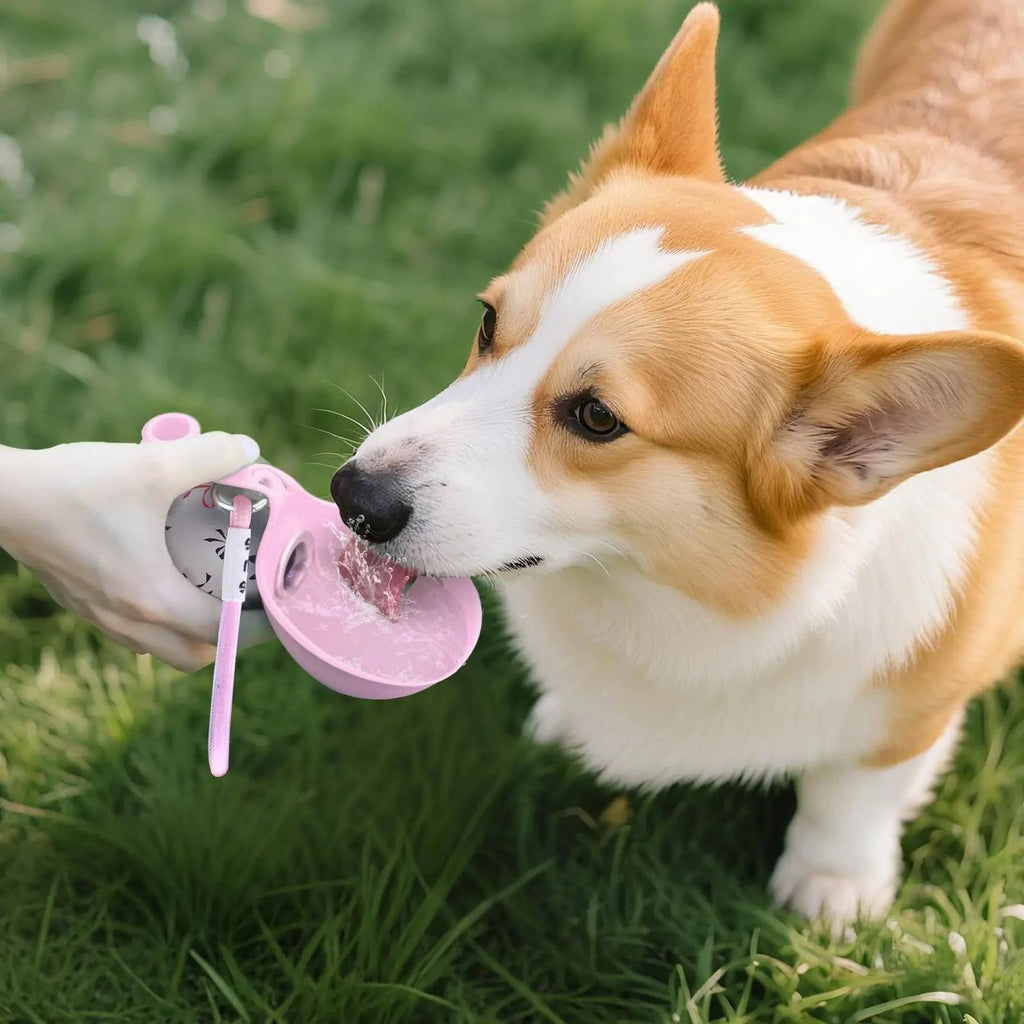 Nehwei 2-in-1 portable dog water bottle for small dogs with stainless steel bottle and silicon cup, leak-proof and compact travel design