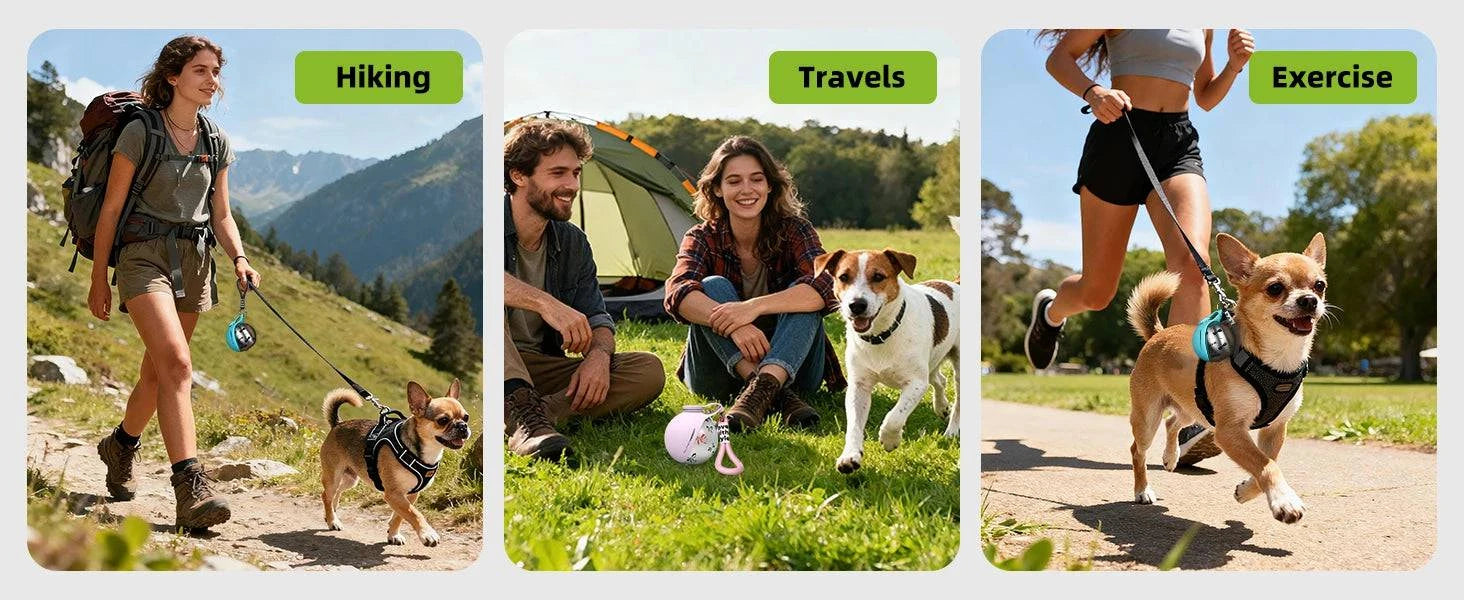 Portable Nehwei enterprise 2-in-1 dog water bottle with stainless steel and silicone, leak-proof design for small dogs on the go.