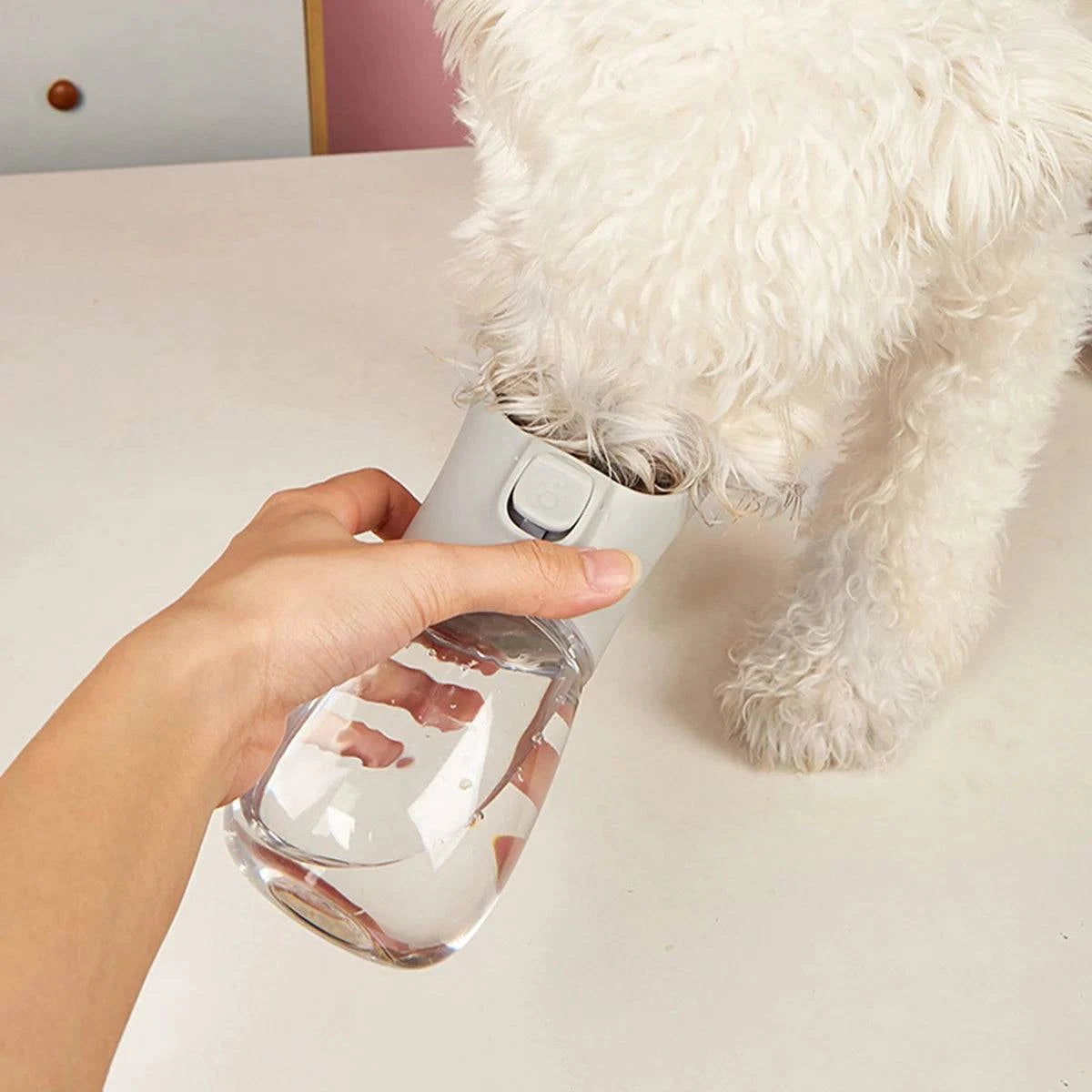 Nehwei enterprise dog water bottle for small and large dogs, portable leak-proof pet travel cup with bowl for outdoor use